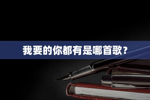 我要的你都有是哪首歌？
