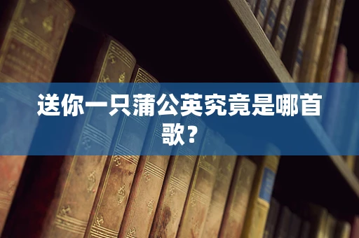 送你一只蒲公英究竟是哪首歌？