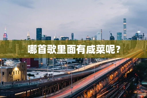 哪首歌里面有咸菜呢？