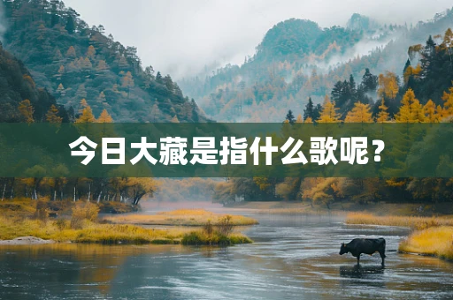 今日大藏是指什么歌呢？
