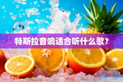 特斯拉音响适合听什么歌？