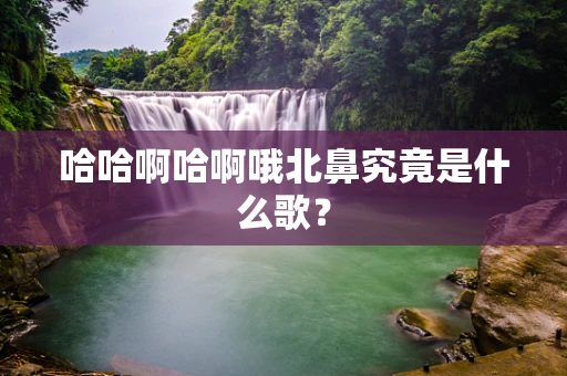 哈哈啊哈啊哦北鼻究竟是什么歌？