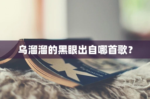 乌溜溜的黑眼出自哪首歌？