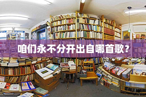 咱们永不分开出自哪首歌？