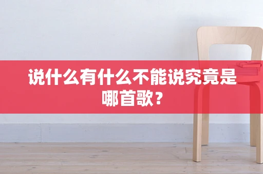 说什么有什么不能说究竟是哪首歌？