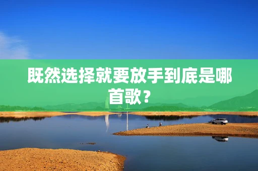 既然选择就要放手到底是哪首歌？
