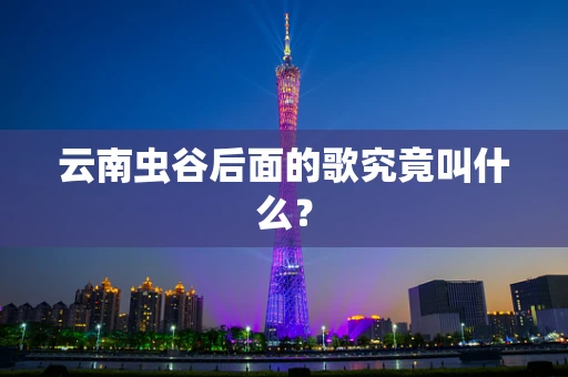 云南虫谷后面的歌究竟叫什么？