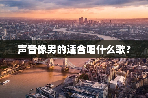 声音像男的适合唱什么歌？