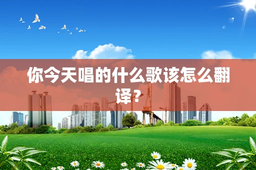 你今天唱的什么歌该怎么翻译？