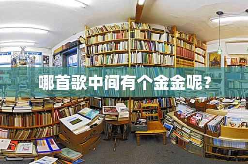 哪首歌中间有个金金呢？