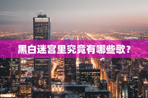 黑白迷宫里究竟有哪些歌？