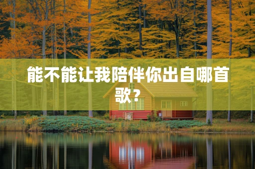 能不能让我陪伴你出自哪首歌？