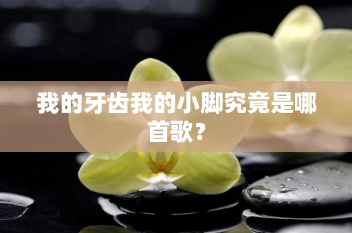 我的牙齿我的小脚究竟是哪首歌？