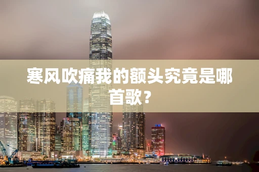 寒风吹痛我的额头究竟是哪首歌？