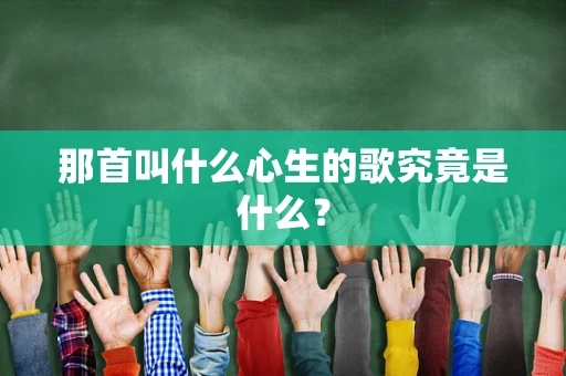那首叫什么心生的歌究竟是什么？