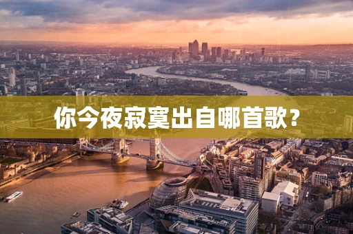 你今夜寂寞出自哪首歌？