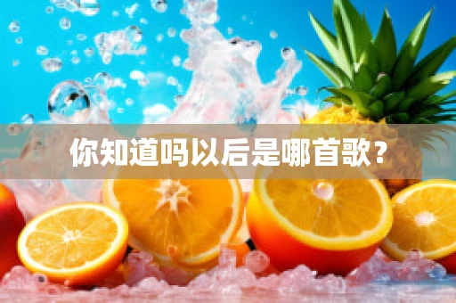 你知道吗以后是哪首歌？