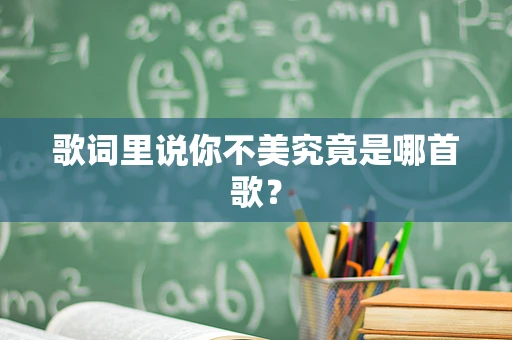 歌词里说你不美究竟是哪首歌？