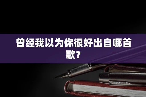 曾经我以为你很好出自哪首歌？