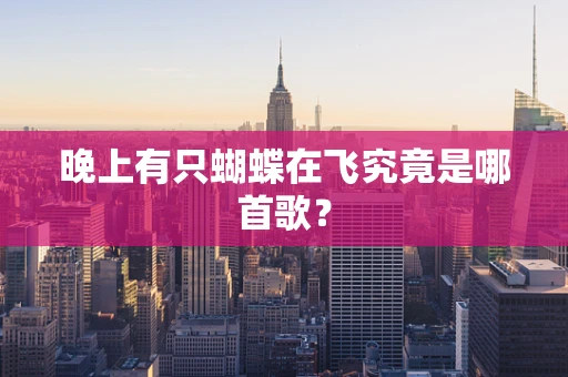 晚上有只蝴蝶在飞究竟是哪首歌？