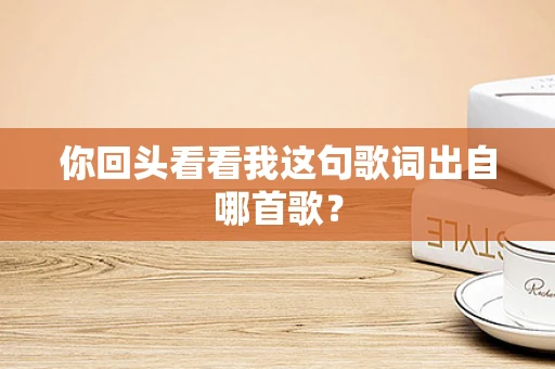 你回头看看我这句歌词出自哪首歌？