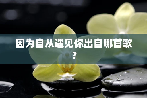 因为自从遇见你出自哪首歌？