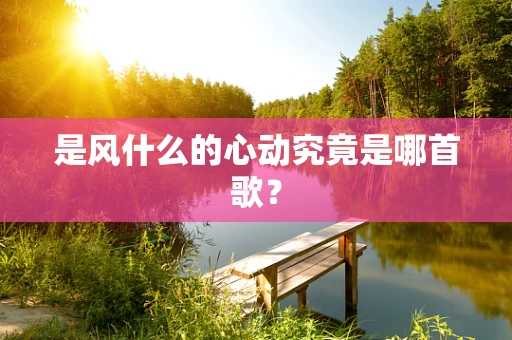 是风什么的心动究竟是哪首歌？