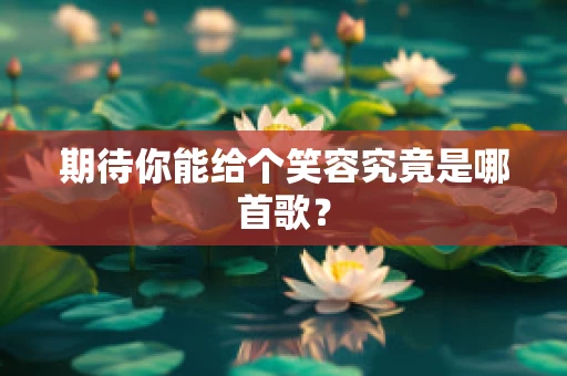 期待你能给个笑容究竟是哪首歌？
