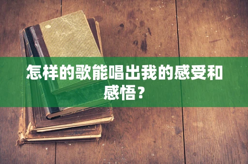 怎样的歌能唱出我的感受和感悟？