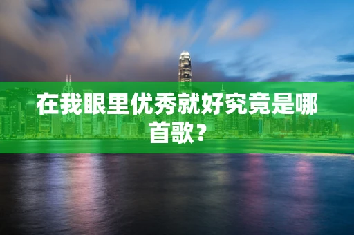 在我眼里优秀就好究竟是哪首歌？