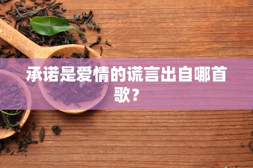 承诺是爱情的谎言出自哪首歌？