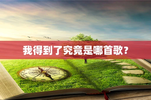 我得到了究竟是哪首歌？