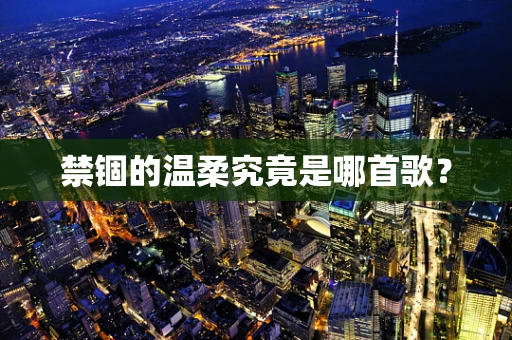 禁锢的温柔究竟是哪首歌？