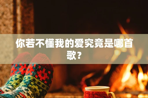 你若不懂我的爱究竟是哪首歌？