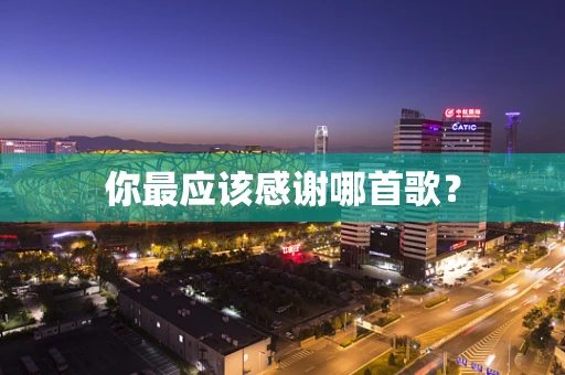 你最应该感谢哪首歌？