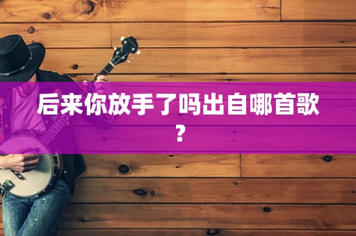 后来你放手了吗出自哪首歌？