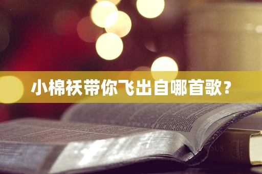 小棉袄带你飞出自哪首歌？