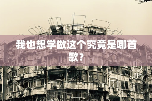我也想学做这个究竟是哪首歌？
