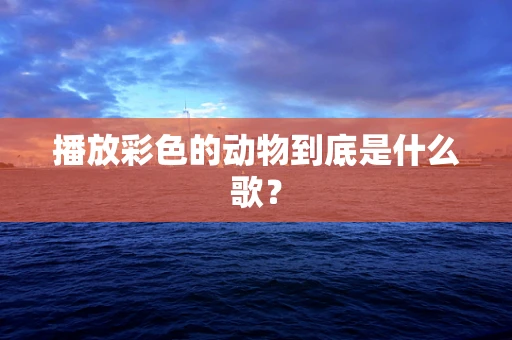 播放彩色的动物到底是什么歌？