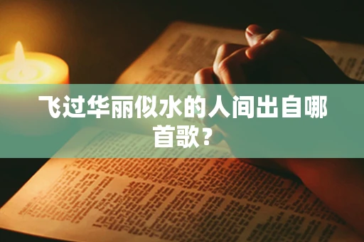 飞过华丽似水的人间出自哪首歌？
