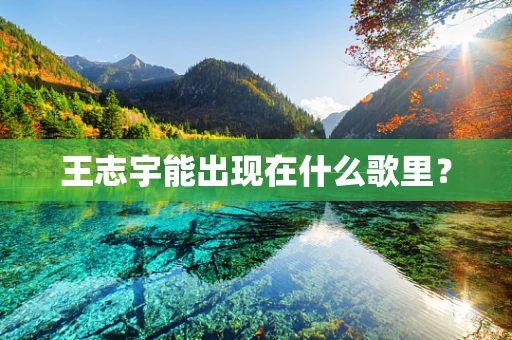 王志宇能出现在什么歌里？