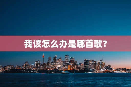 我该怎么办是哪首歌？