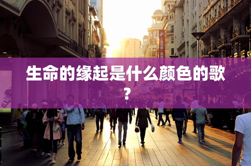 生命的缘起是什么颜色的歌？