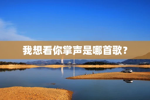 我想看你掌声是哪首歌？