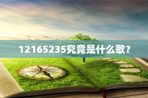12165235究竟是什么歌？