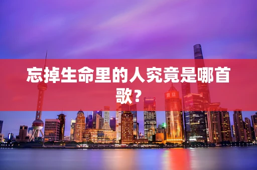 忘掉生命里的人究竟是哪首歌？