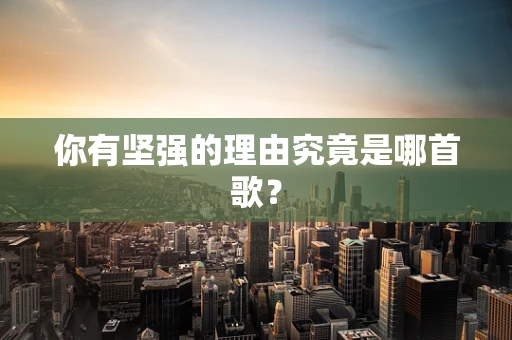 你有坚强的理由究竟是哪首歌？