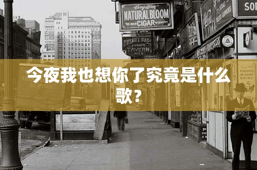 今夜我也想你了究竟是什么歌？