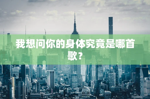 我想问你的身体究竟是哪首歌？