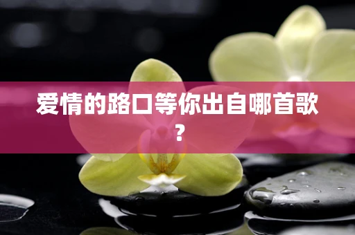 爱情的路口等你出自哪首歌？